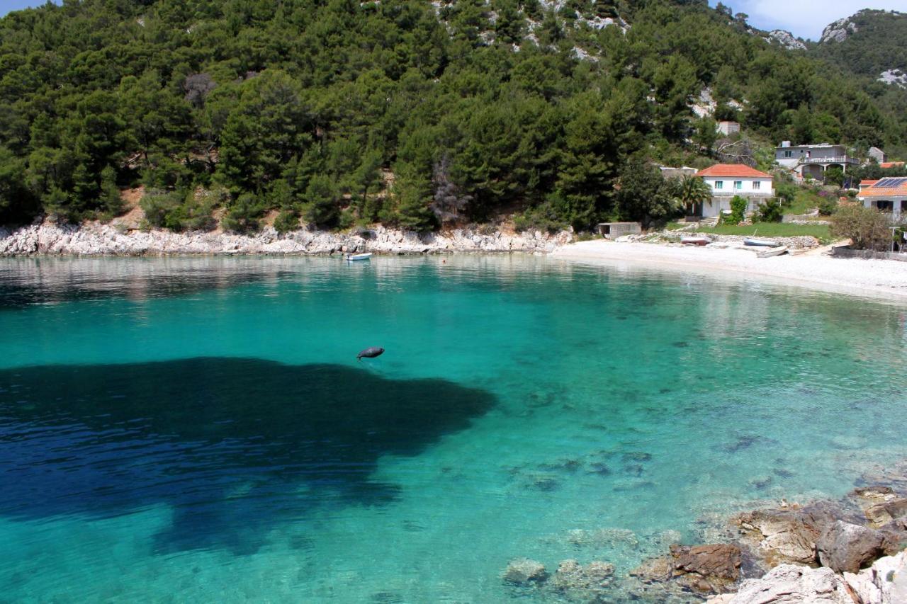Seaside Secluded Apartments Cove Skozanje, Hvar - 5713 Gdinj Eksteriør billede